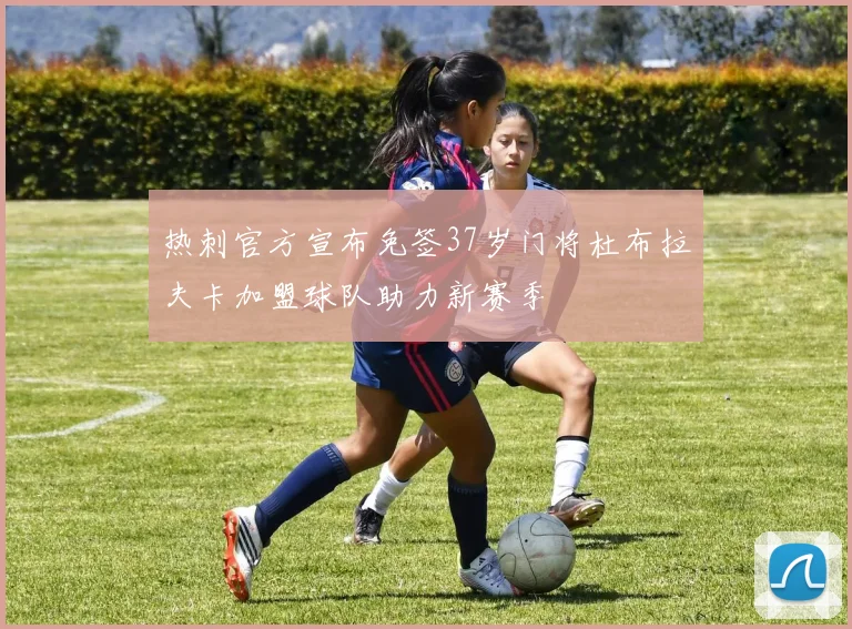热刺官方宣布免签37岁门将杜布拉夫卡加盟球队助力新赛季
