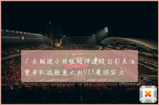 广东铭途小将张皓烨遭殴打引关注曾率队战胜意大利U15展现实力